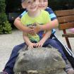 foto9922